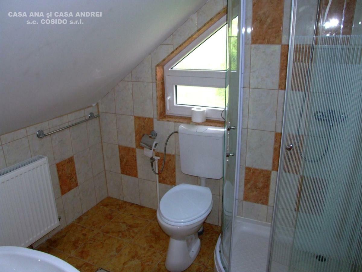 Villa Casa Ana Vatra Dornei Dealu Floreni Exterior foto