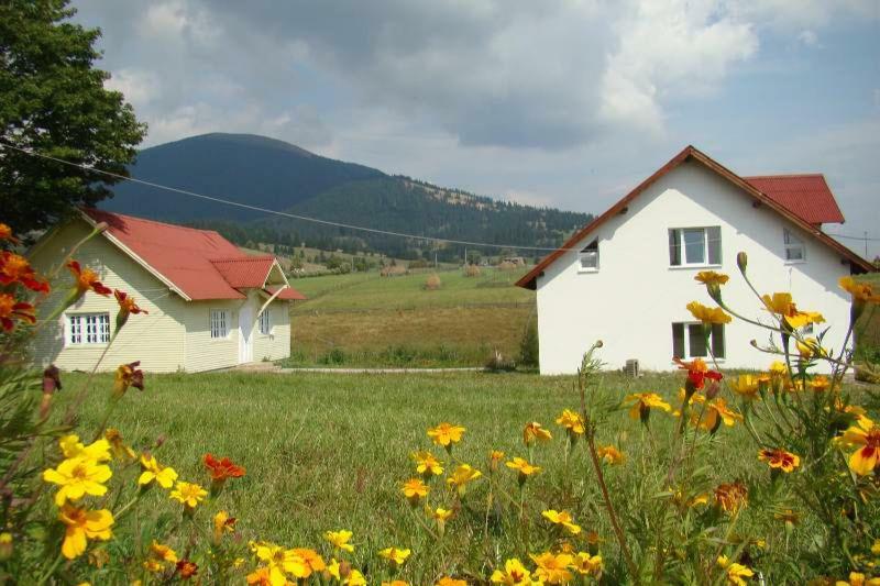 Villa Casa Ana Vatra Dornei Dealu Floreni Exterior foto