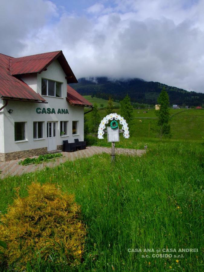 Villa Casa Ana Vatra Dornei Dealu Floreni Exterior foto